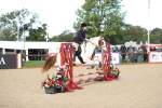 J20 - Junior Horse 50cm Championship portfolio