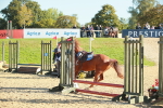 SBM_15269