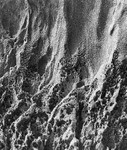 0102 - Musseled  Barnacled Rock Wall