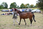 WJ6_6170