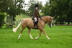 S6 - Novice & newcomer Ridden horse portfolio