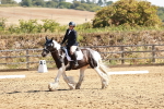 SBM_000806