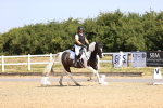 SBM_009239