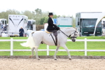 SBM_03377