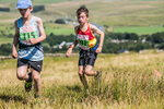 Tebay U11-31