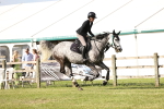 SBM_09981