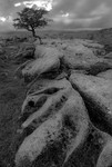 20120630-_MG_9138-1234-1244