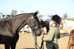 SBM_00039