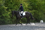 WJ5_9912