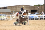 SBM_003980