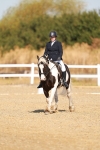 SBM_016772