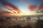 Wytch Heath, near Arne