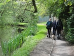 047 Setting out on the banks of Bedale Beck