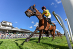 300926-Race 5-Vince Le Prince-7826