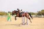 SBM_001613