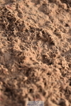 231203A-122744-01160