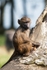 20120903-_MG_9779-1371