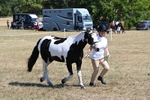 WJ6_8580