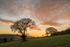Middlehope sunset