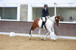 SBM_002847