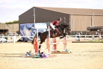 SBM_003976