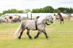 SBM_00647