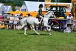 SBM_07805