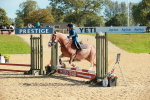 SBM_17176