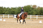 SBM_006409