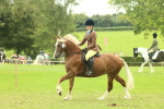SBM_72068