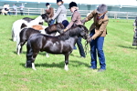 SBM_03517