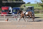 BPP_8728