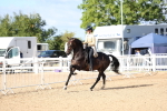SBM_09127