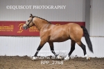 BPP_2768
