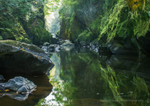 The Fairy Glen 2