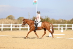 SBM_009159