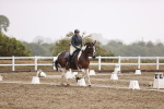 SBM_004787