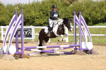 SBM_000353