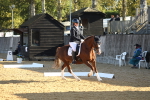 SBM_14197