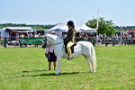 SBM_13950