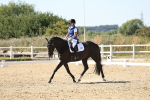 SBM_003376