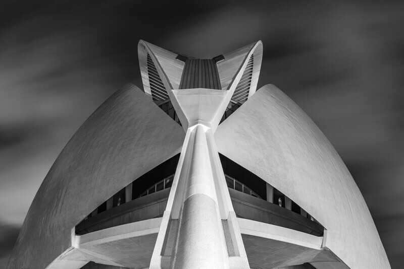 Mono, Palau de les Arts Reina Sofia, Valencia