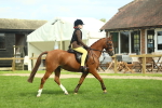SBM_44628