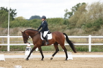 SBM_003684