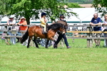 SBM_05899