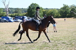 WJ6_8363
