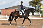 Cls 5 Novice 37A portfolio