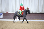 SBM_001208