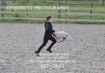 BPP_0608