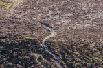 Causey Pike-11